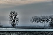 segnalato CONTI GIOVANNI 10_3. Nebbia e brina Sez. I